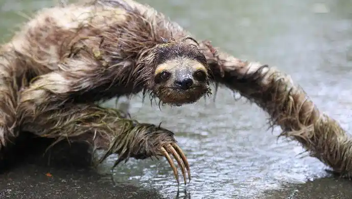 世上真有水鬼的存在吗? 你听说过吗