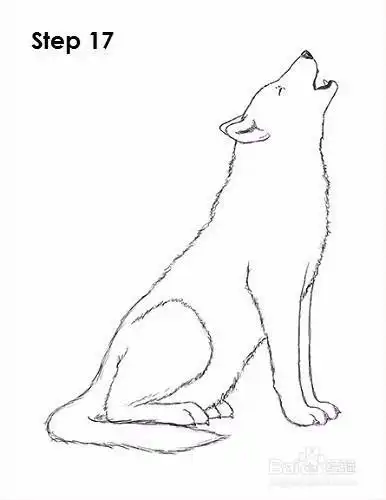 狼的简单画法大全狼简笔画的画法 狼简笔画的教程狼的简笔画幼儿狼的