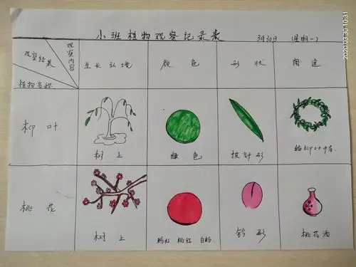 科学: 《观察植物,了解植物.》我们还做了观察记录表.