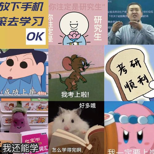 62张大学生考研上岸表情包贴纸沙雕搞笑励志手机笔记本装饰贴防水