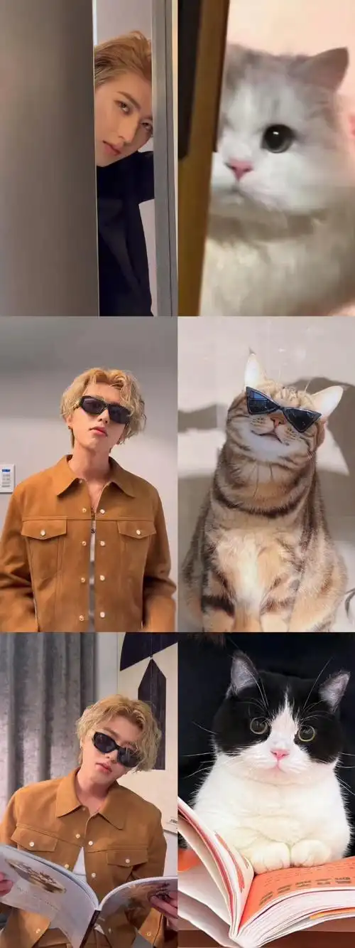 蔡徐坤猫塑自己