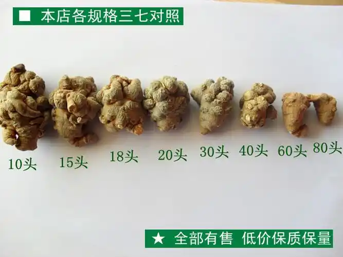 云南文山三七25头30头40头三七田七云南中药材特产文山种.