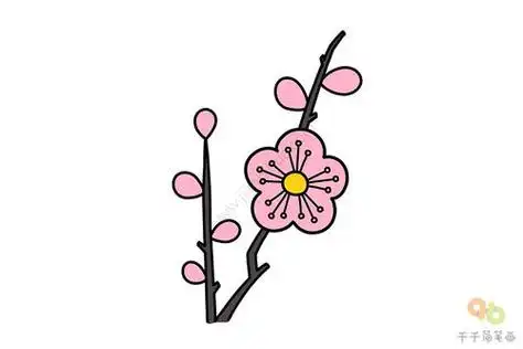 梅花的简笔画怎么画?
