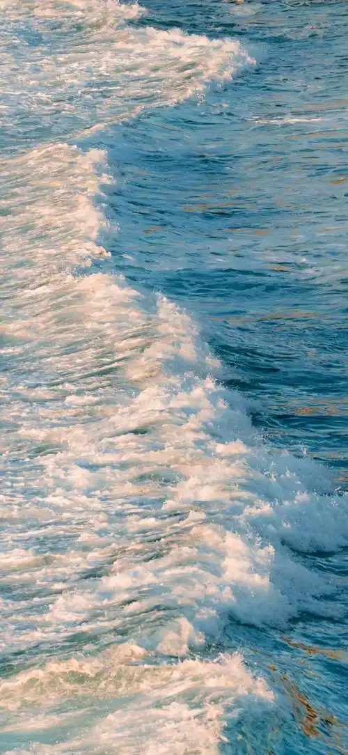 求一些海洋壁纸