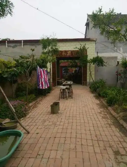 晒晒我的农村老家,院子超大,我都不想回城了
