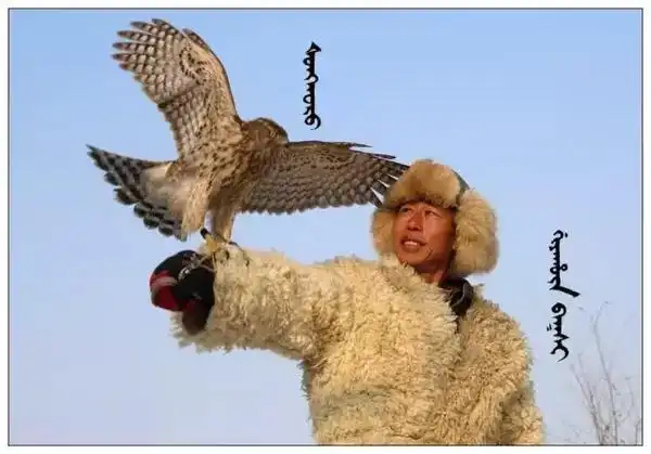 满洲精神的象征海东青图集