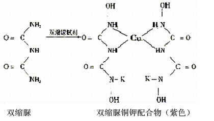 双缩脲词条图册_百度百科