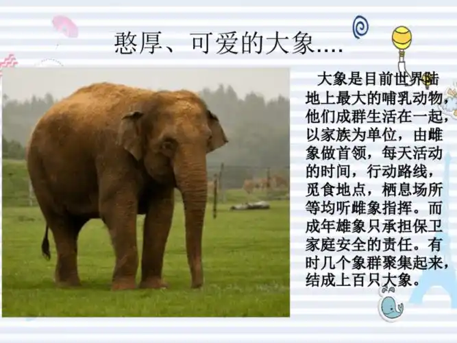 少儿美术教学课件幻彩大象(10页)-原创力文档