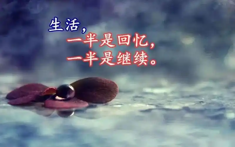 经典名句人生感悟(经典名句人生感悟句子)