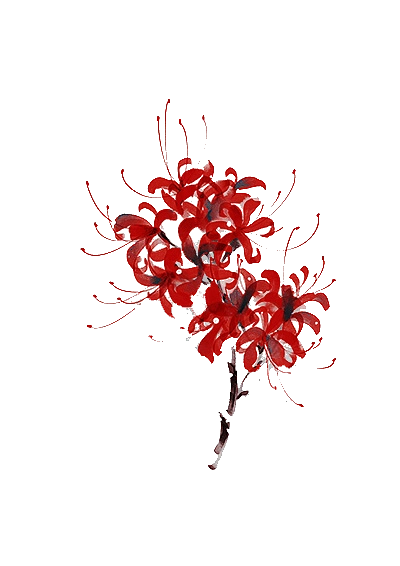 路过世界从杦玥转采于2020-12-29 11:34:03古风免扣 彼岸花免抠矢量