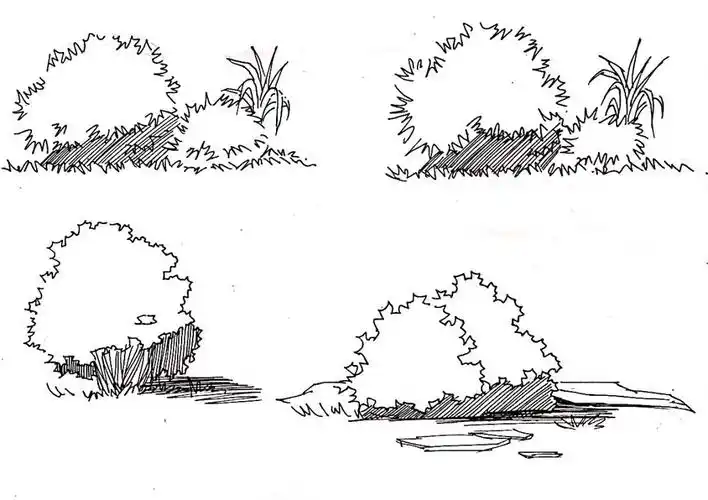 小黑薛的手绘灌木90_手绘_人文_绘画