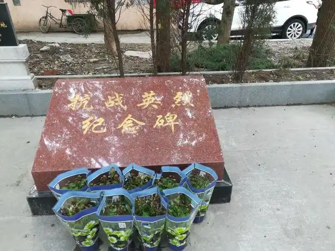 【闵行区颛桥镇北桥集镇】之一