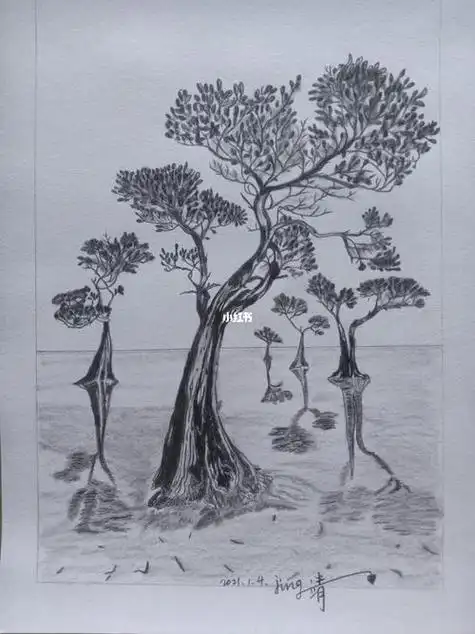 类别:碳棒画 作品:玖瑰             类别:铅笔画素描班二