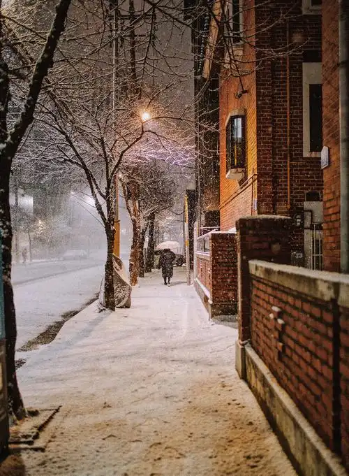 不记得是第几场大雪了雪景真的好梦幻街道也很温暖