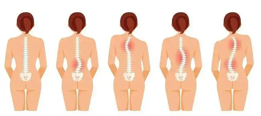 中西医各有说辞丨乐草元正本按摩_脊柱_阳气_问题