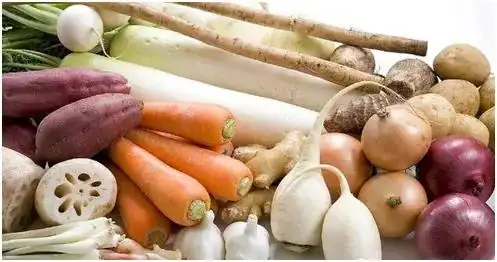 根茎类的蔬菜和种子,仿佛是一个个充满能量的小包裹,在地表之下慢慢