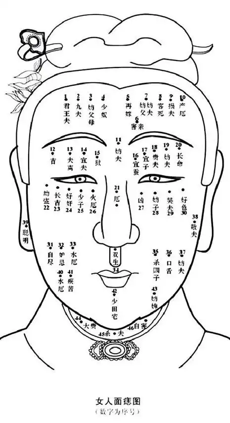 面相十二宫面相流年男女面痣手相图