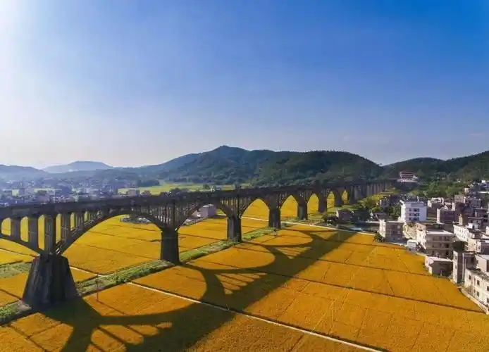 9月16号出发~399奢华爆款,罗定"稻"你玩 仙境北帝山 杨贵妃故里 梦幻