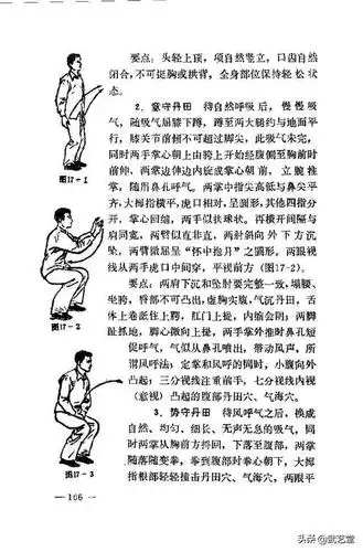 秘传马步推掌功原貌版(珍藏版)