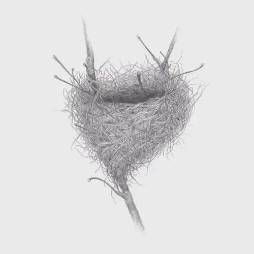 随处可见的鸟窝却有人通过画笔记录它们