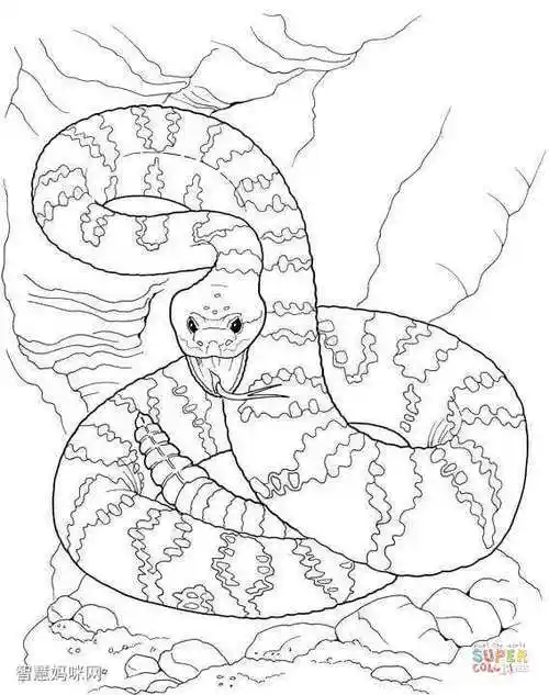 危险响尾蛇简笔画图片