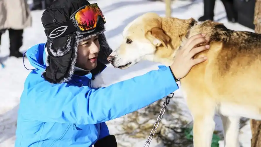 张杰明星风尚壁纸5