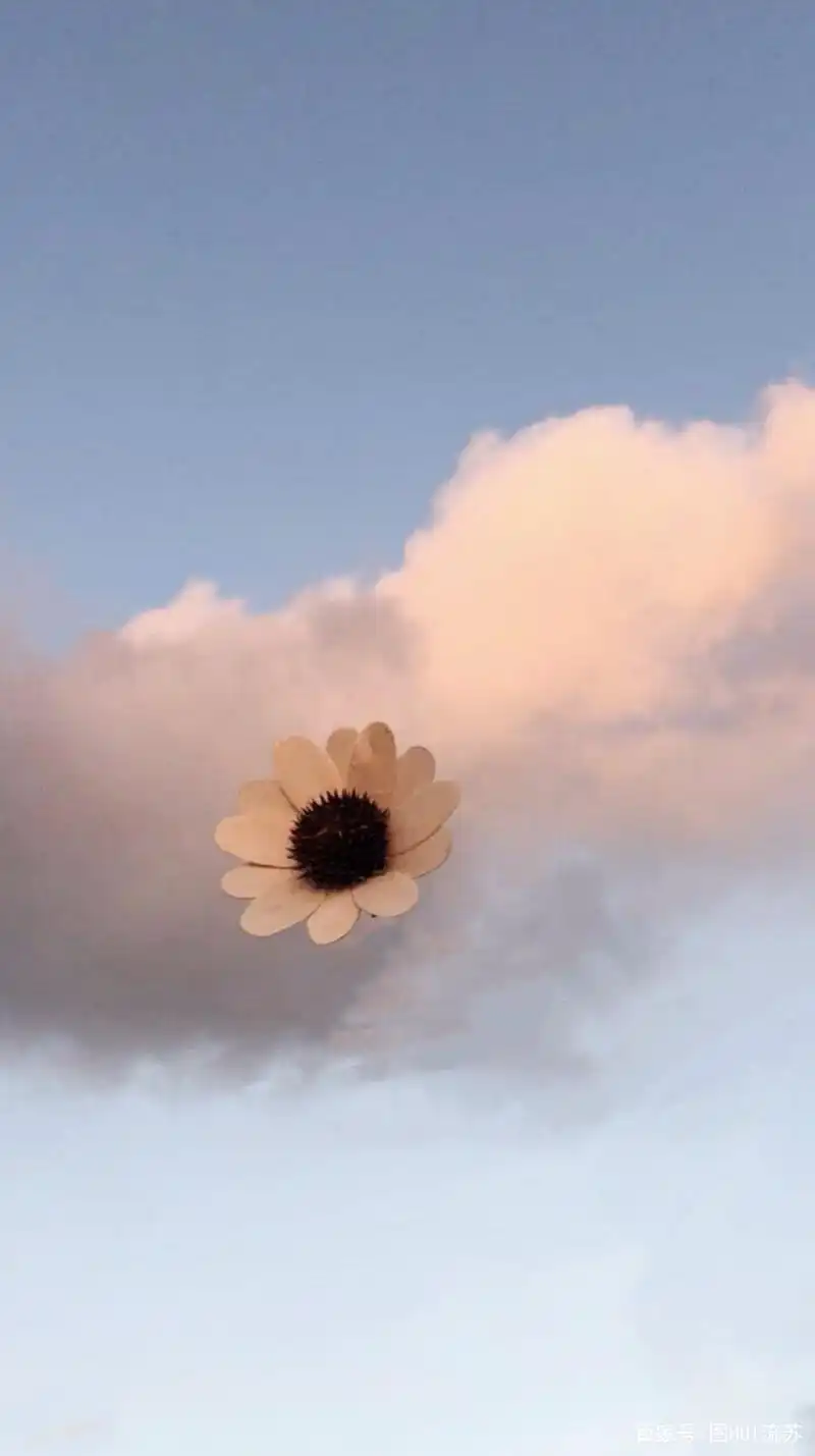 简单清新的手机壁纸