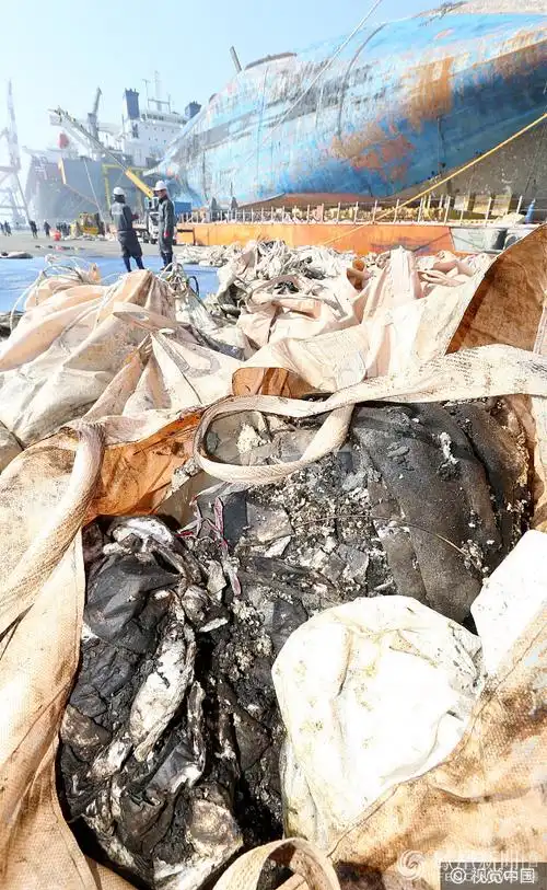 世越号船体内部发现48件遇难者遗物