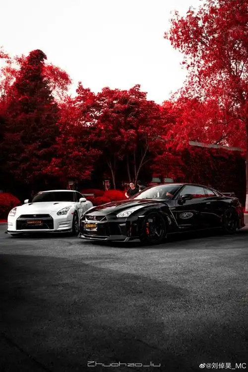 690_1034竖版 竖屏