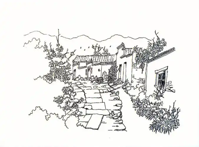 316钢笔画学习青石板小路