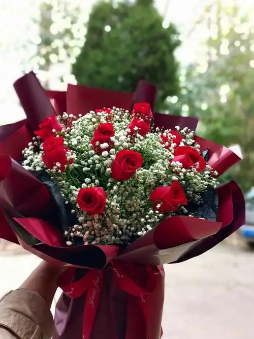 11朵红玫瑰满天星花束