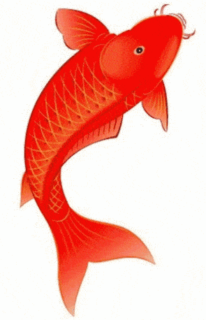 295_458竖版 竖屏gif 动态图 动图