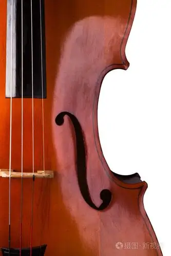 在白色背景上的大提琴
