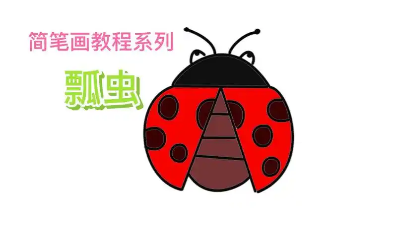 七星瓢虫简笔画视频教程