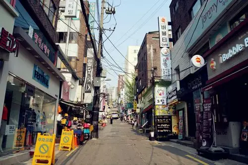 首尔历史最悠久的大学之一,建校于1887年初,是韩国第一所女子大学