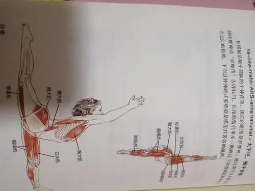 印度瑜伽体式 写美篇这是kamal negi老师做的神猴式, 骨骼关节动作:1