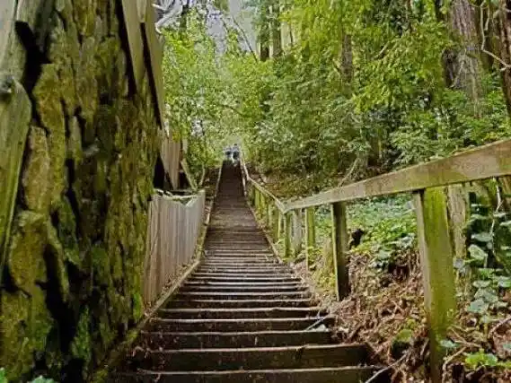 隐居山林,她在散步中创立了美好的护肤品牌_生活_黎明_大自然