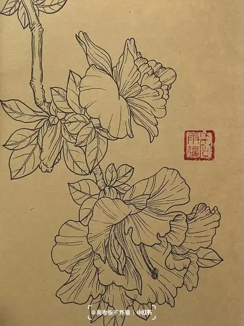 杜鹃#临摹线稿  #线稿  #临摹  #手绘临摹  #我的文具分享  #植物绘画