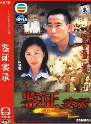鉴证实录 1998