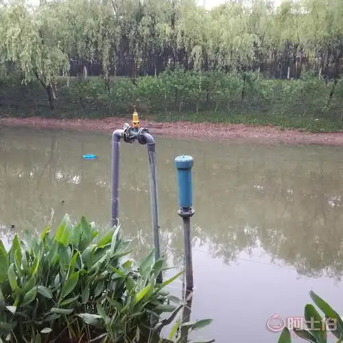 潜水式鼓风机水下曝气机