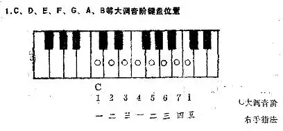 电子琴音调对照表 - 知晓星球