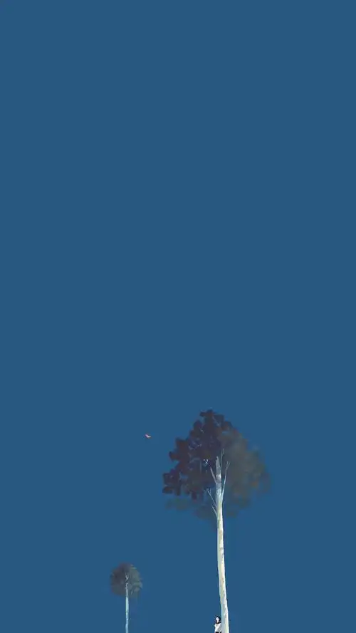 1080_1920竖版 竖屏