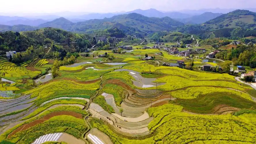 汉阴凤堰古梯田春耕备耕场景再次登上央视