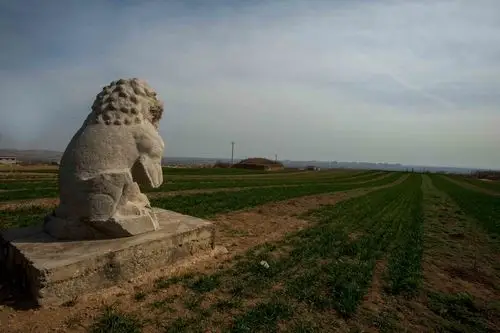 大唐帝王陵(光陵)