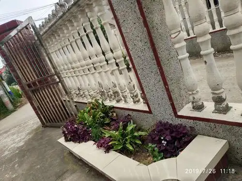 美丽家门口的花坛