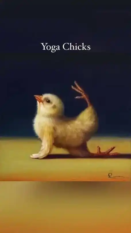 瑜伽鸡 twi:funnyanimal99