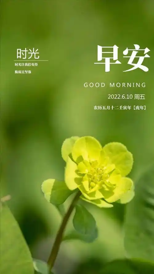 每日一签日历图片今日6月10日早安