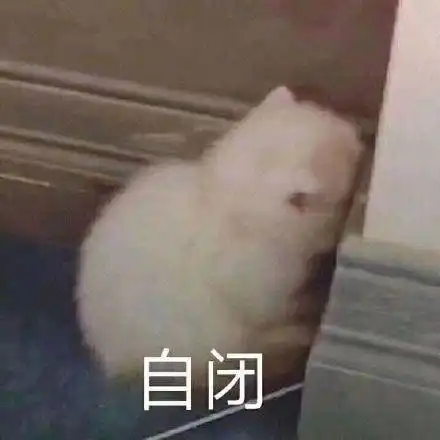 自闭gif猫咪gif