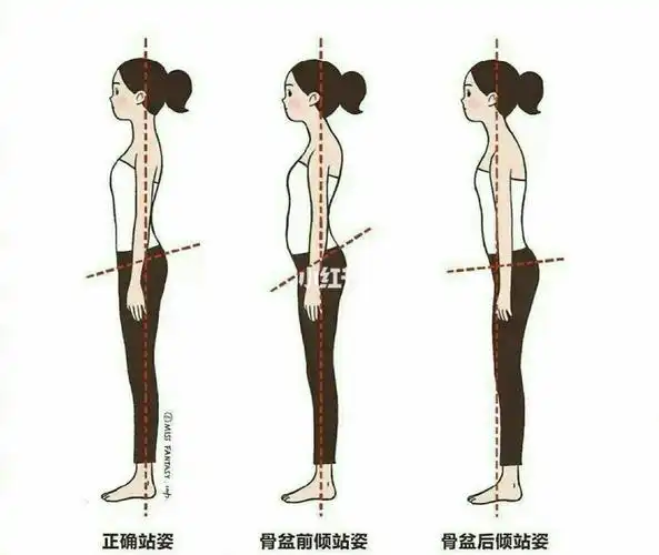 正确站姿7575