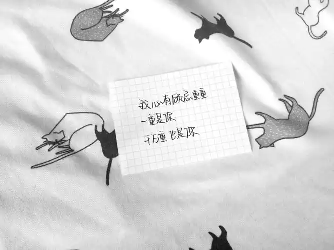 文字背景图壁纸玉米超可爱